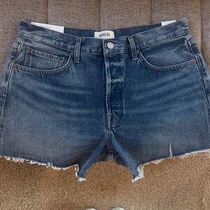 NWT AGOLDE Parker Long denim shorts, “Ruin”, sz 30